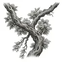 Corkscrew willow tree tattoo design idea