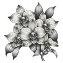 black borneo orchid tattoo design idea