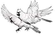 A black cockatoo chasing after a cardinal in a playful way. black and white in a fineline style.  tattoo design idea