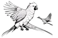 A black cockatoo chasing after a cardinal in a playful way. black and white in a fineline style.  tattoo design idea