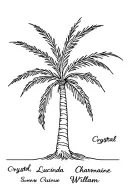 aesthetic palm tree with the names : Crystal , Lucinda , Charmaine , William as the routes   tattoo design idea