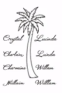 aesthetic palm tree with the names : Crystal , Lucinda , Charmaine , William as the routes   tattoo design idea
