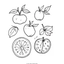 fruit flash sheet fine line tattoo design idea