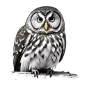 Barred Owl tattoo design idea