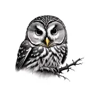 Barred Owl tattoo design idea