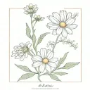 simple, line work, minimal, daisy, baby's breath, lavender, olive branch, with the words "el roi" tattoo design idea