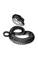 Snake Collar Bone tattoo design idea