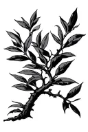 OLIVE TREE tattoo design idea