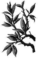 OLIVE TREE tattoo design idea