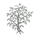 vine and fig tree tattoo design idea