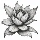 agave cactus tattoo design idea
