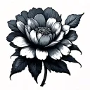 small minimalist fine-line tattoo design for an Angelica flower tattoo design idea