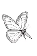 papillon tattoo design idea