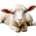 lamb laying tattoo design idea