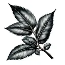 bay leaf tattoo design idea