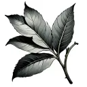 bay leaf tattoo design idea