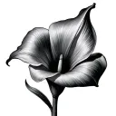 calla lily tattoo design idea