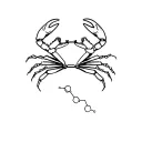 crab holding dopamine molecule structure tattoo design idea