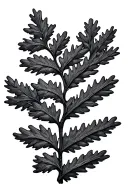 cedar branch tattoo design idea