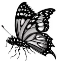 butterfly,magic eye, Greece tattoo design idea