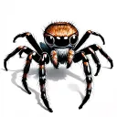 jumping spider tattoo design idea