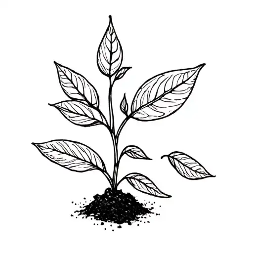 for my daughter pip, a seed in the soil that is sprouting a few leaves.  tattoo design idea