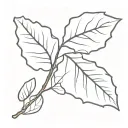 single aspen leaf tattoo design idea