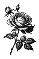 ranunculus rose with stem tattoo design idea
