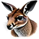 Kangaroo tattoo design idea