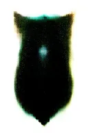 morrigan celtic goddess tattoo design idea