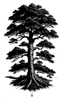 Acacia Tree in compass tattoo design idea