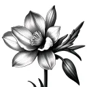 snowdrop flower, narcissus flower, carnation tattoo design idea