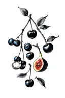 cherries, blueberries, gooseberry, figs, kiwis tattoo design idea
