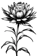 Protea flower with stem tattoo design idea