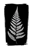 black and grey fern leaf tattoo design idea