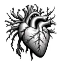 anatomically correct heart tattoo design idea