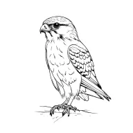peregrine falcon with binoculars tattoo design idea