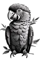 Parrot tattoo design idea