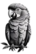 Parrot tattoo design idea