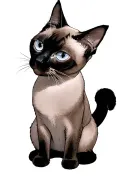 anime siamese cat sitting tattoo design idea