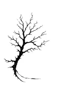 dead oak tree tattoo design idea