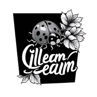 small smooth cursive lettering saying "Illeam" with a ladybug tattoo design idea
