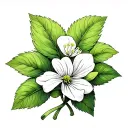 Diphylleia Grayi tattoo design idea