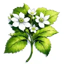Diphylleia Grayi tattoo design idea