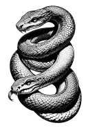 two snakes twisting around each other with there heads away from each other, in the mindel of there twist is a cyrcal  tattoo design idea