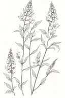 field of lupine tattoo design idea