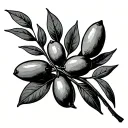 olive branch with 1 Peter 5:7 tattoo design idea
