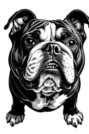 American bully tattoo design idea