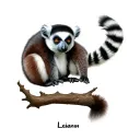 "Leiann" Ring tailed lemur tattoo design idea