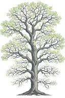 oak tree intertwined represents factors like money success family. Tie in other key aspects of these factors to enhance tattoo design idea
